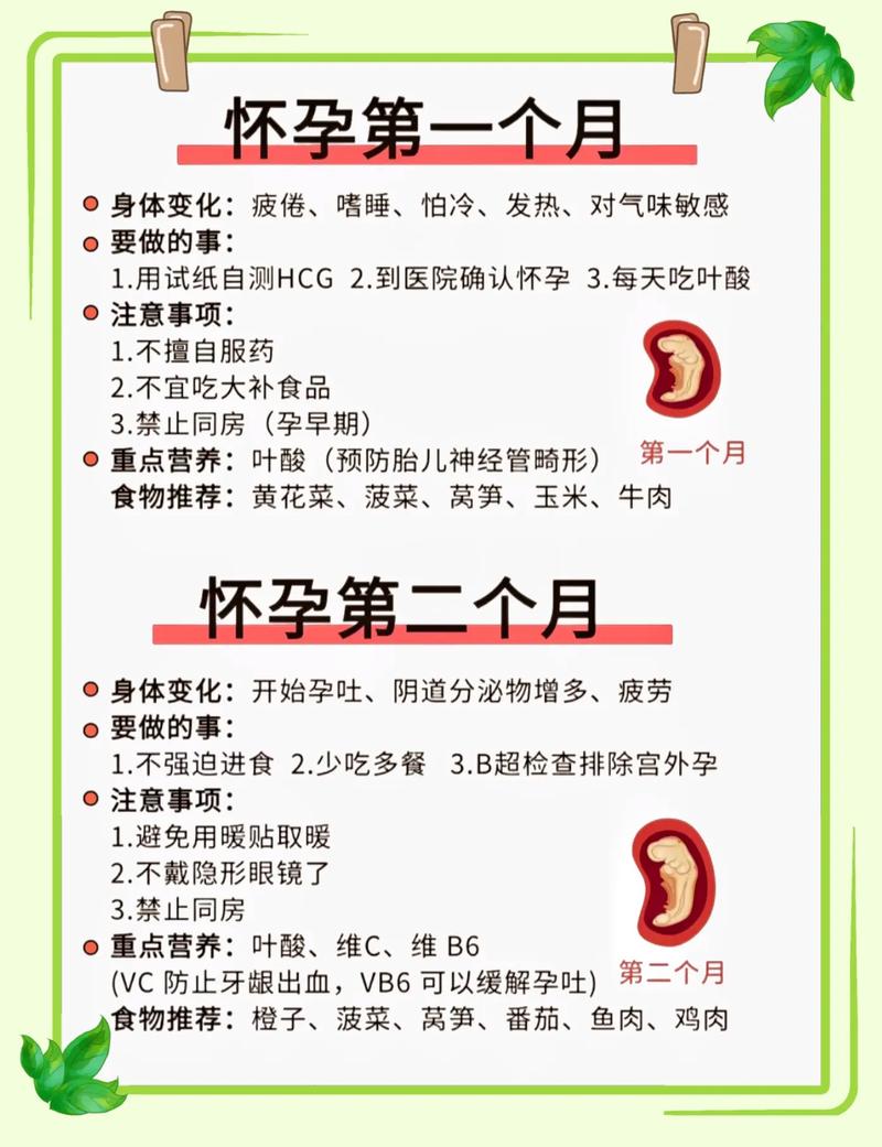 孕期护理要点全攻略：开启健康孕育之旅