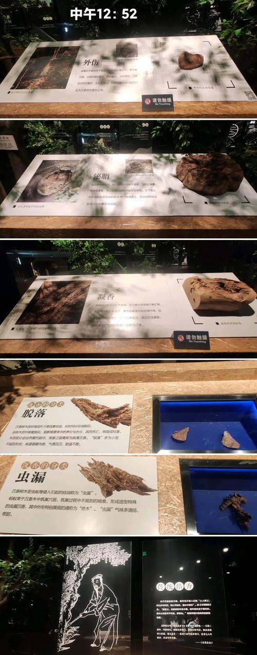 中国沉香文化博物馆：开启沉香文化的神秘之旅