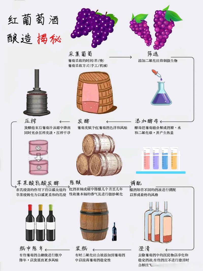 详细阅读:葡萄醋:从果实到佳酿的美妙变身 葡萄醋:从果实到佳酿的美妙变身