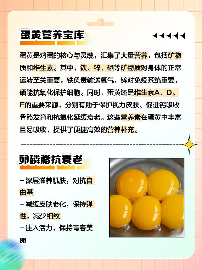 详细阅读:探索蛋黄果醋:独特风味与健康魅力的交融 探索蛋黄果醋:独特风味与健康魅力的交融