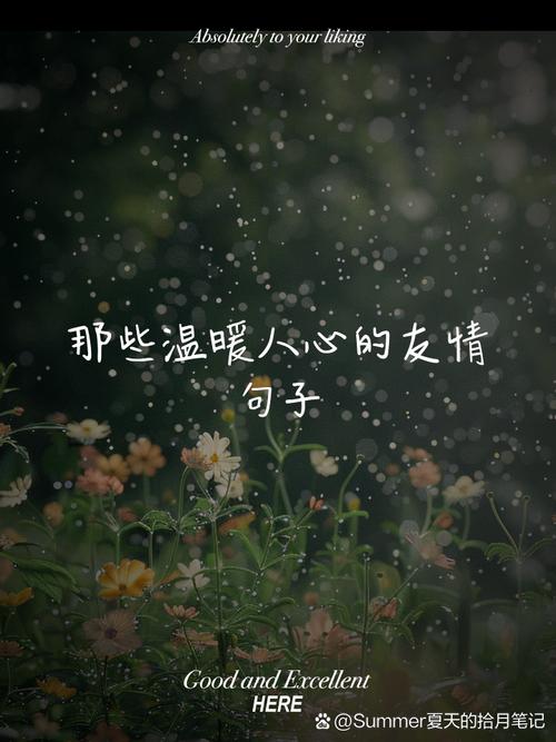 友情的温暖长河