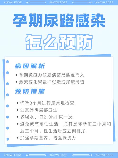孕期尿路感染的治疗