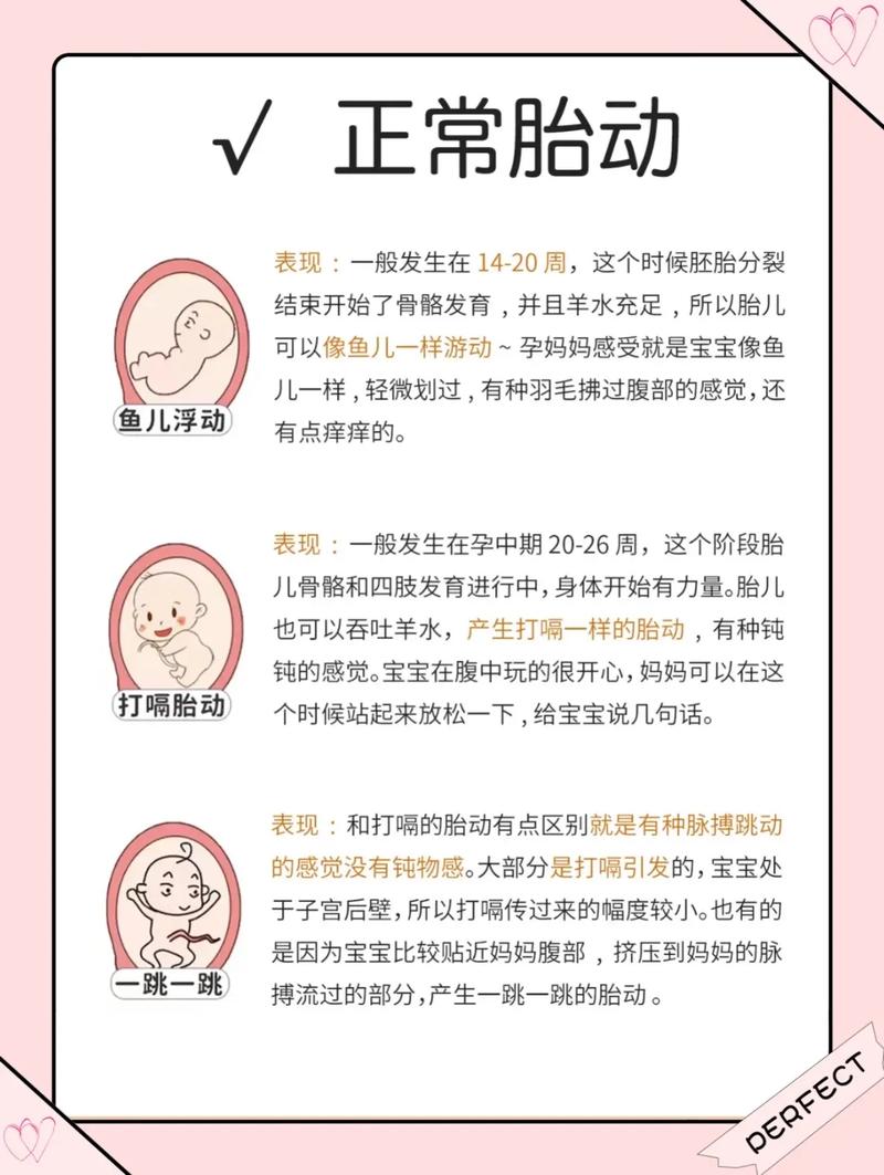 详细阅读:孕期正常胎动:宝宝与妈妈的奇妙交流 孕期正常胎动:宝宝与妈妈的奇妙交流