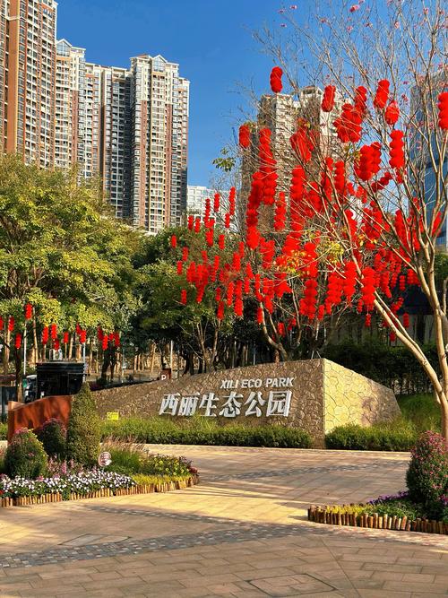 西丽生态公园：城市绿肺，休闲胜地