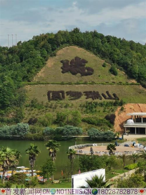 深圳皇岗公园：繁华都市中的绿色瑰宝与休闲胜地