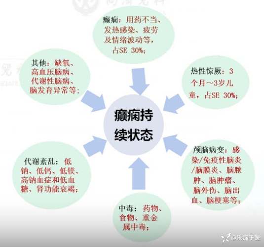癫痫的治疗与控制：多维度解析与应对策略