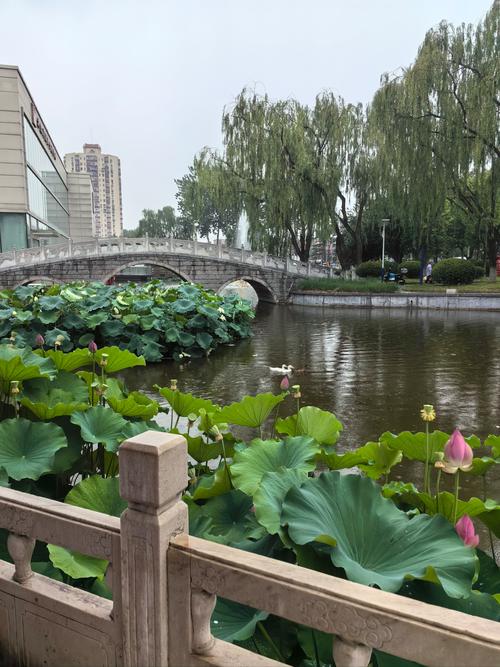 探寻北京福海公园的多重魅力与历史渊源