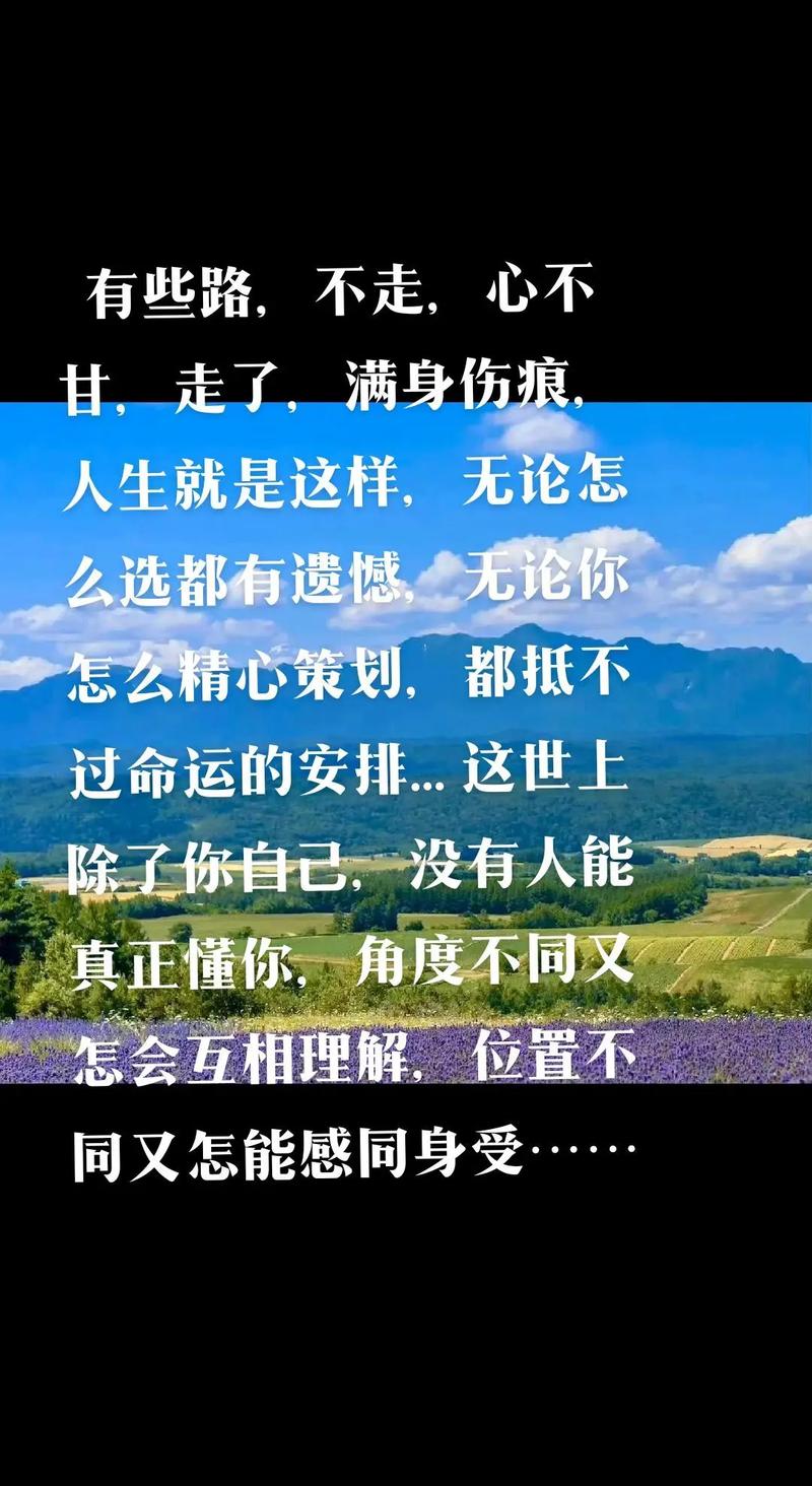 泪洒心途：在伤痛中寻觅成长的曙光