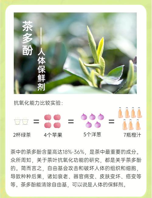 白菜茶：平凡中的健康宝藏