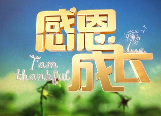 11月节日大盘点：感恩与成长的交织