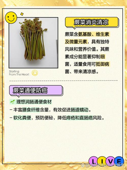 详细阅读:探秘蕨菜茶:自然馈赠的健康佳饮 探秘蕨菜茶:自然馈赠的健康佳饮
