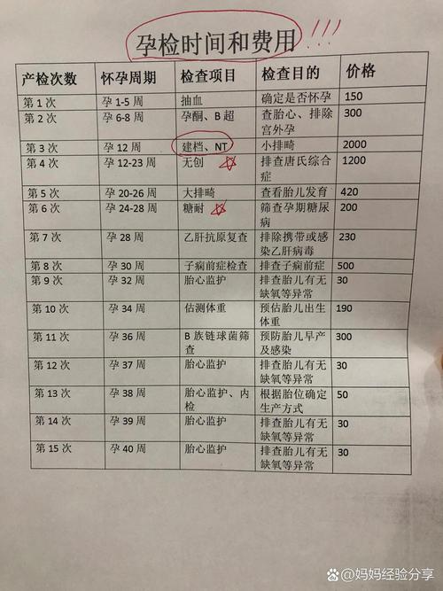 孕期护理费用：守护母婴健康的关键投资