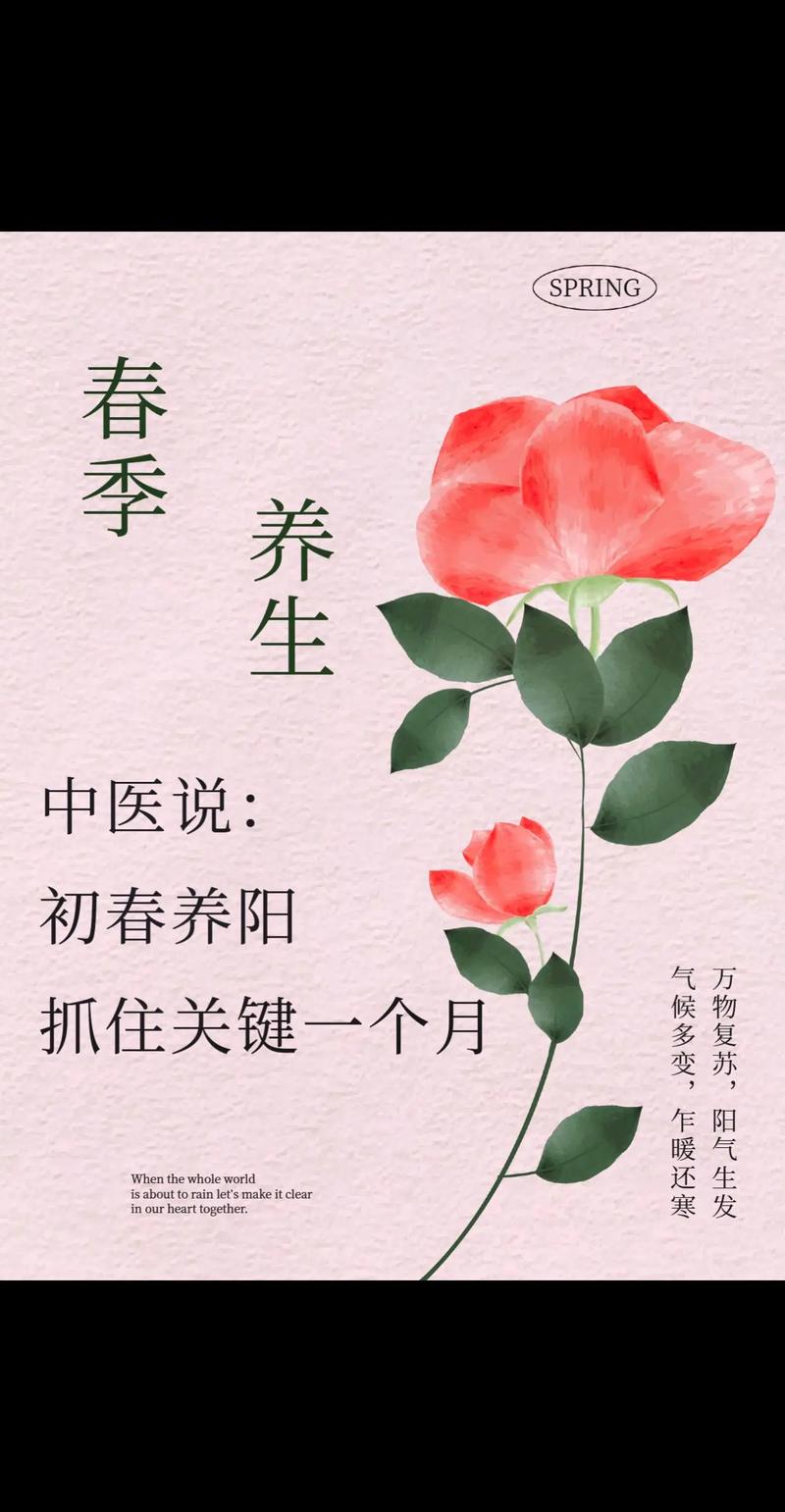 春季养生：顺应春气，呵护身心