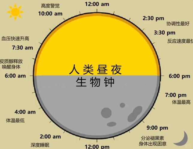 详细阅读:生物钟:美容的新视角与实践 生物钟:美容的新视角与实践