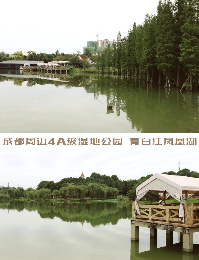 详细阅读:青白江凤凰湖:生态与文化的完美融合 青白江凤凰湖:生态与文化的完美融合
