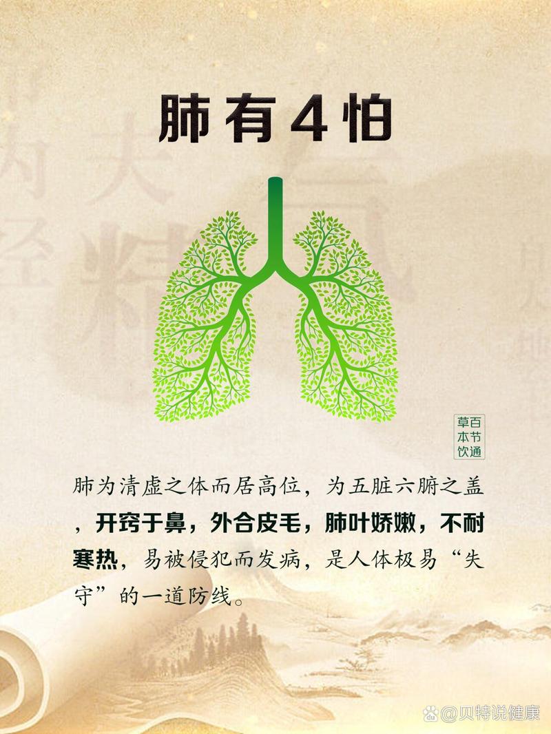 养肺之道：呵护生命之源，畅享健康生活