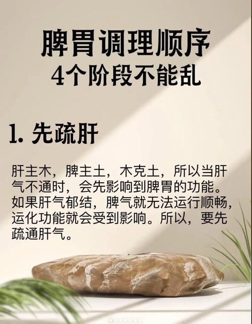 强脾养生：守护健康之根本