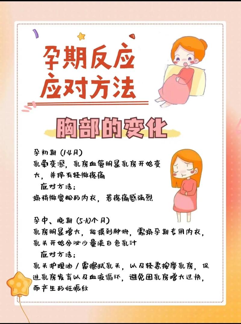 孕期护理：全面指南与贴心建议