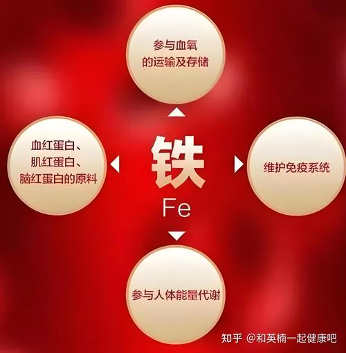 铁元素：生命活力的源泉与健康守护者
