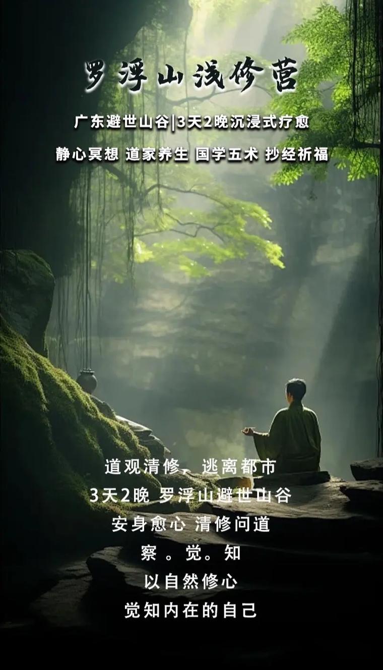 缓解压力，养生有道：开启身心舒缓的奇妙之旅