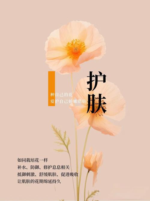 美容养颜养生：绽放由内而外的自然光彩