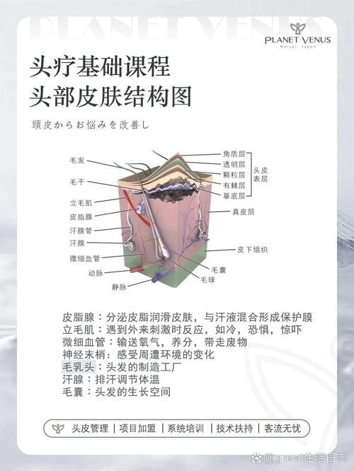 头发护理基础知识全解析