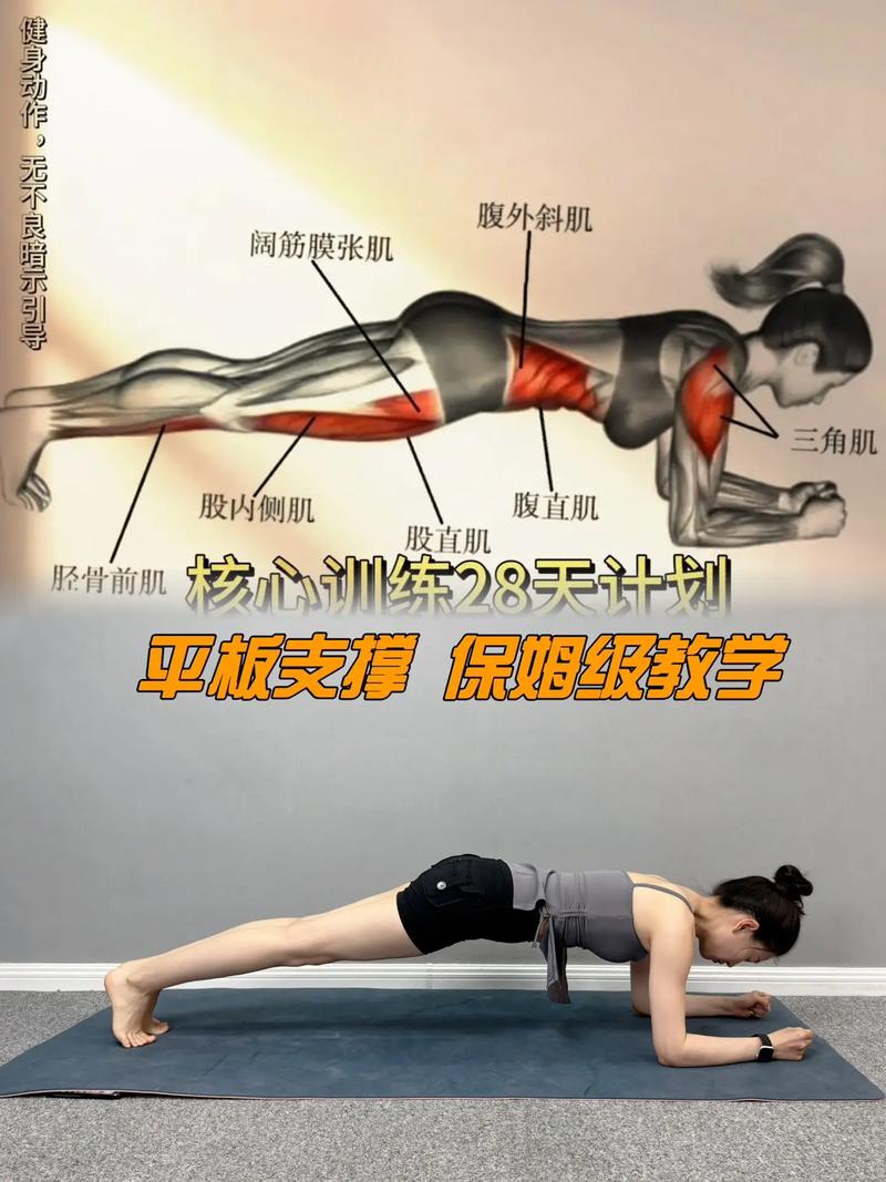 详细阅读:平板支撑:高效健身的核心动作及练习方法 平板支撑:高效健身的核心动作及练习方法