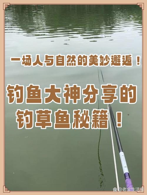 钓鱼：一场与自然的奇妙邂逅