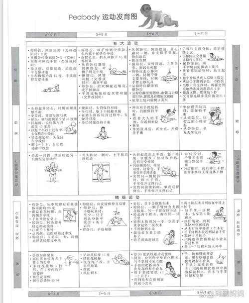 全面评估健身效果：方法、指标与意义