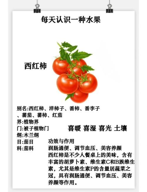 详细阅读:西红柿:从田间到餐桌的传奇 西红柿:从田间到餐桌的传奇