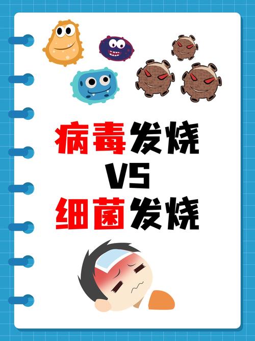 发烧：身体与疾病的抗争
