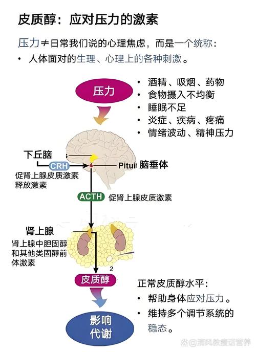 运动成瘾：成因剖析、危害揭示与科学应对策略
