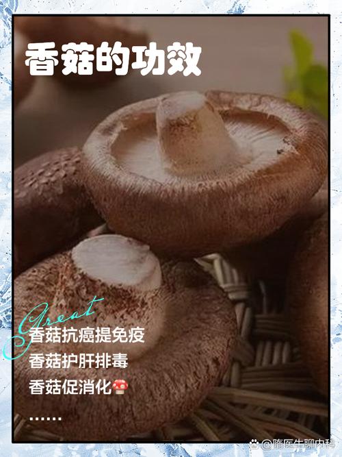 香菇：菌中珍宝，舌尖与生活的奇妙交融
