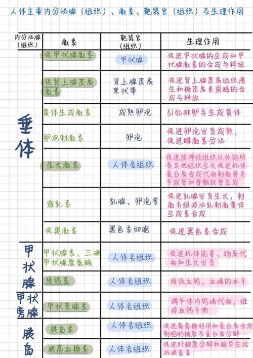 运动与内分泌系统健康的关系