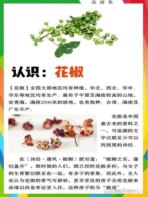 花椒：麻香四溢的调味珍宝与多元价值探索