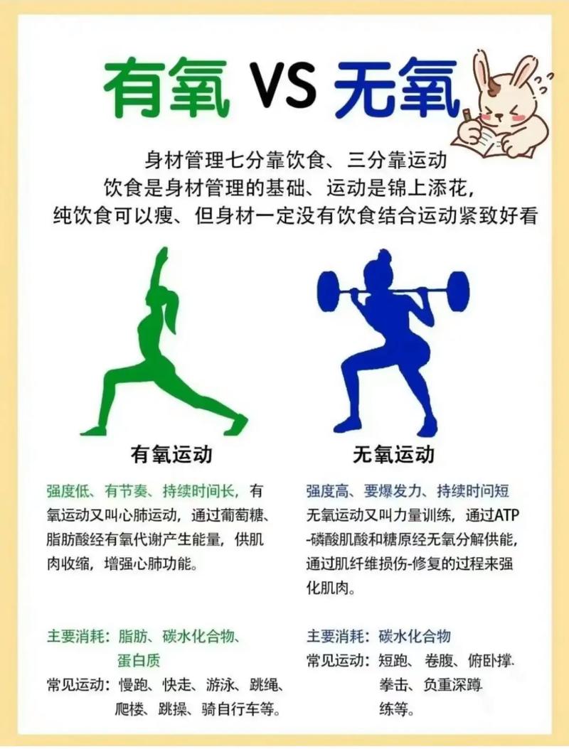 运动与身体代谢的关系：探索健康与活力的源泉