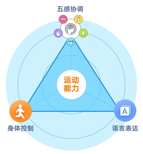 运动与身体空间感知能力的关系