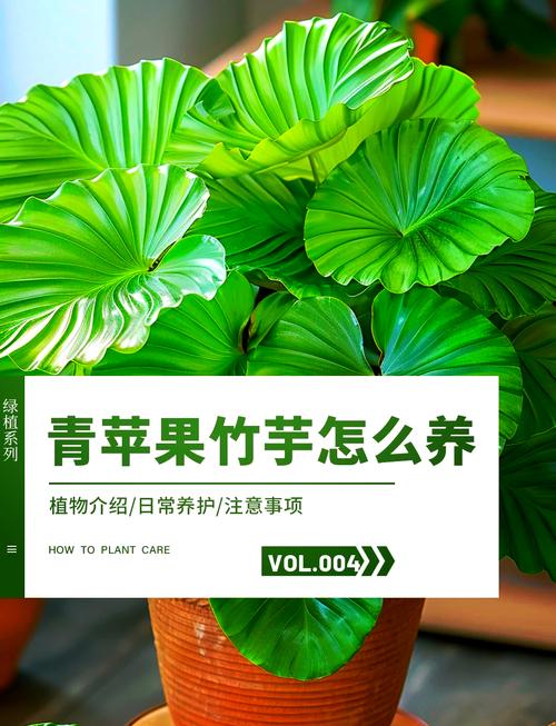 绿植养护全攻略：让绿色生命在家中蓬勃生长