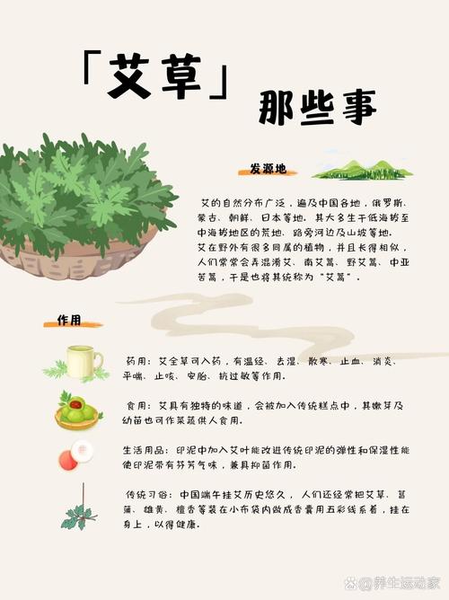 艾草种植：从基础到实践的全面指南