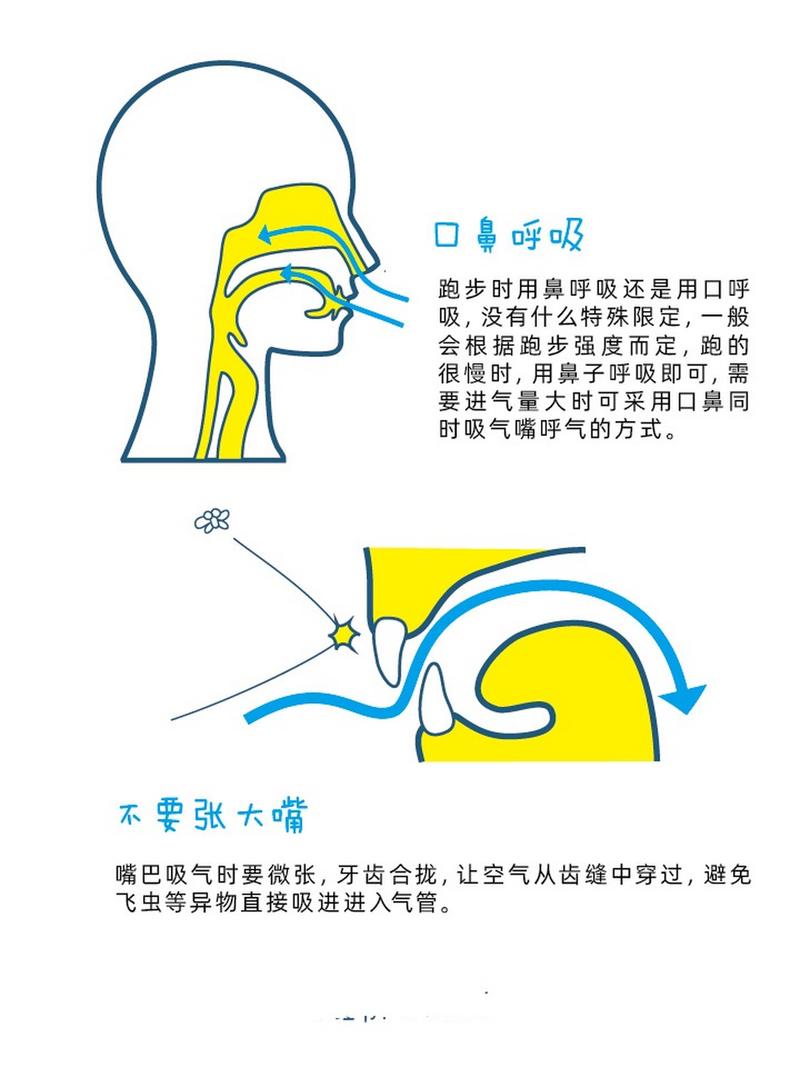 详细阅读:跑步呼吸方法:提升运动表现的秘诀 跑步呼吸方法:提升运动表现的秘诀