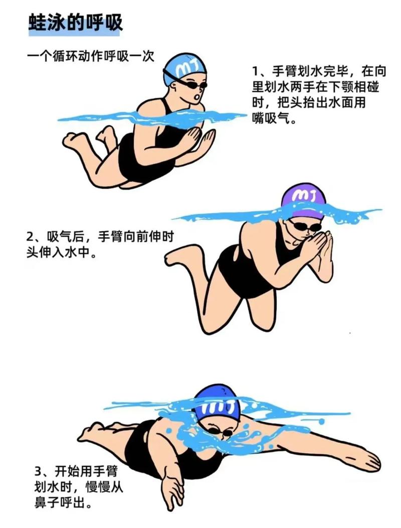 详细阅读:蛙泳:水中精灵的优雅律动与魅力探索 蛙泳:水中精灵的优雅律动与魅力探索