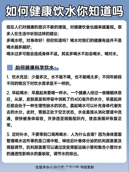 探寻矿泉水的奥秘：从源头到餐桌的健康之旅