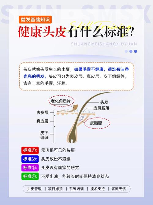 头发色泽均匀：健康与美丽的独特标识
