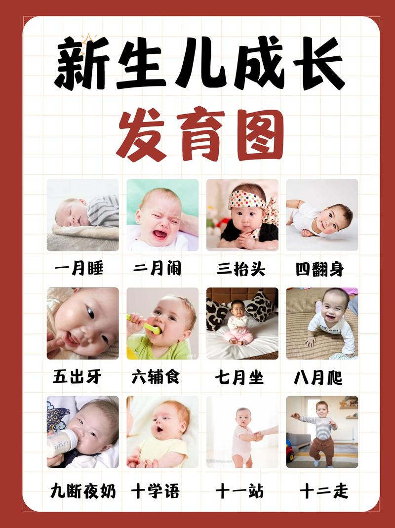 宝宝成长：从萌芽到绽放的奇妙旅程