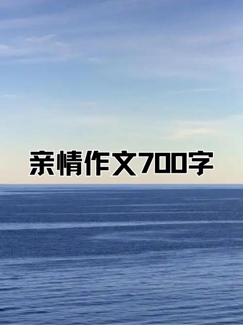 亲情：生命中最温暖的港湾