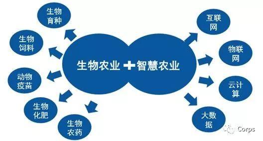 精准农业：现代农业发展的新方向与未来
