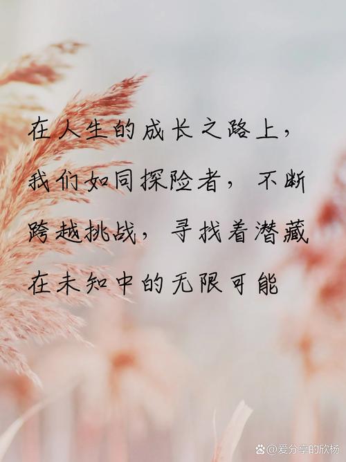 详细阅读:正视自身不足,迈向成长之路 正视自身不足,迈向成长之路