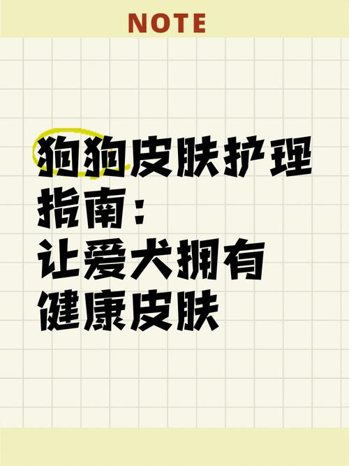 宠物美容护理：让爱宠焕发光彩的全方位指南