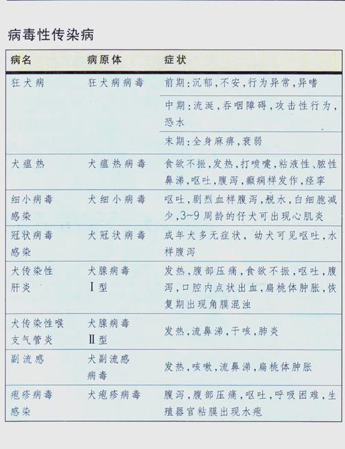 宠物生病症状全解析，早发现早治疗守护爱宠健康