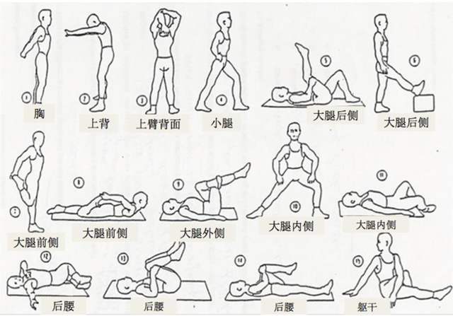 详细阅读:静态拉伸的奥秘:解锁身体柔韧性与运动表现的新维度 静态拉伸的奥秘:解锁身体柔韧性与运动表现的新维度